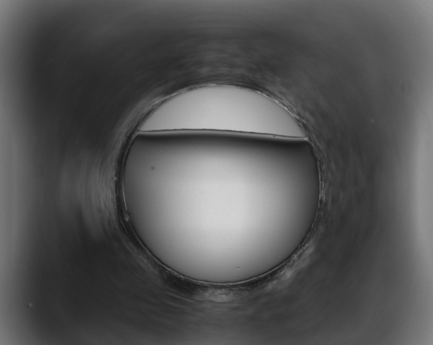 X0000088640341200705250923