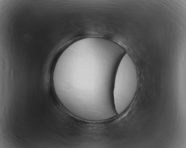 X0000088640343200705250923