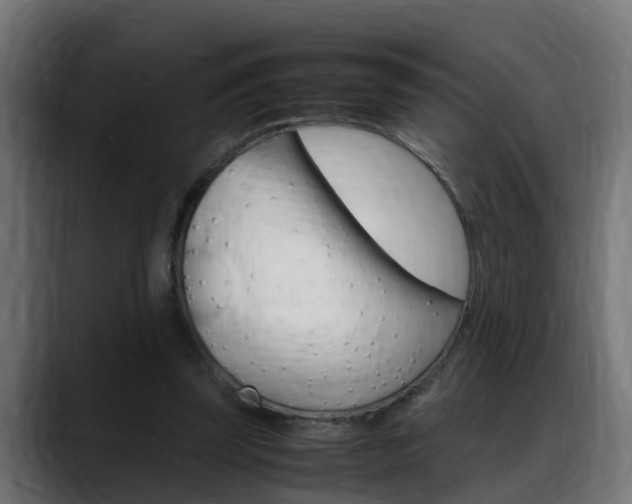 X0000088640347200705250923
