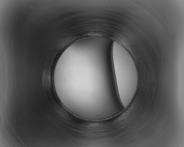 X0000088640349200705250923