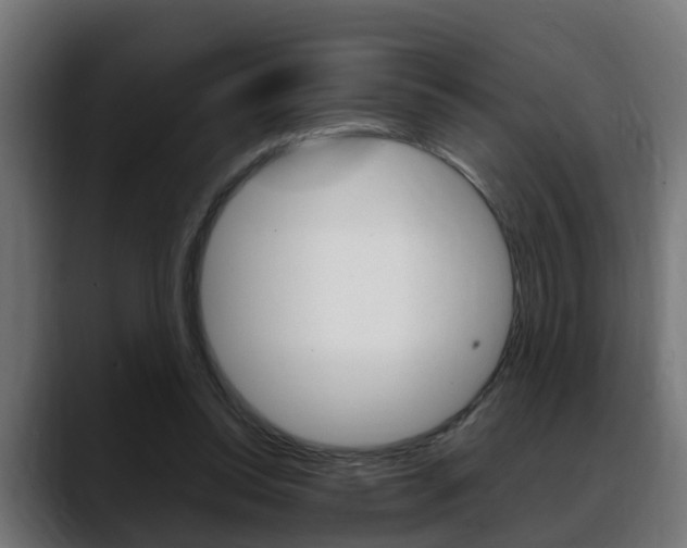 X0000088640350200705250923