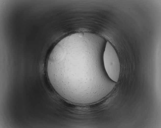 X0000088640351200705250923