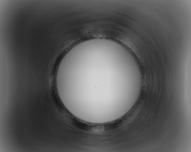 X0000088640355200705250923