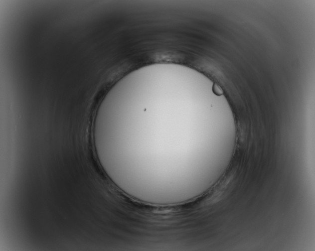 X0000088640357200705250923