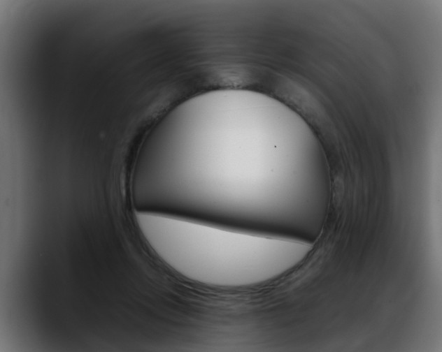X0000088640358200705250923