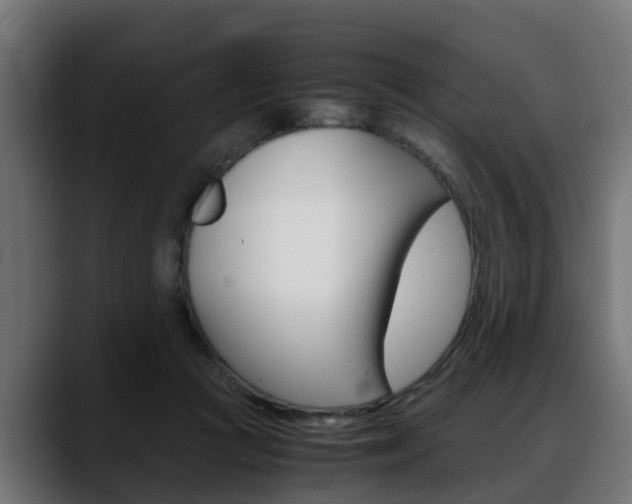 X0000088640361200705250923