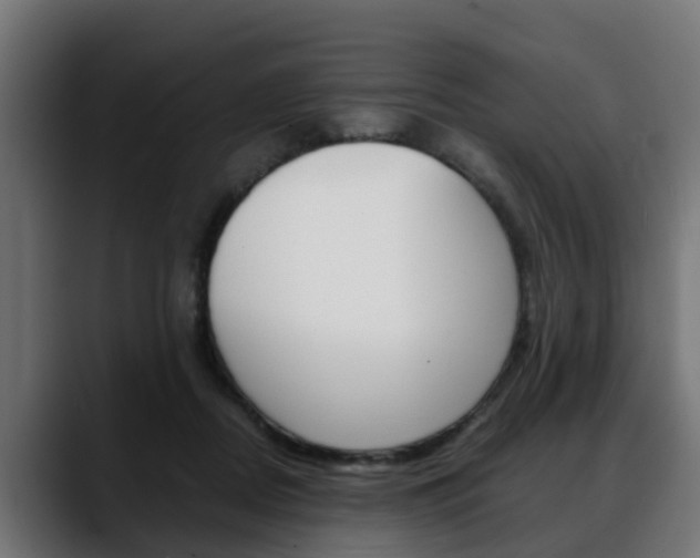 X0000088640362200705250923