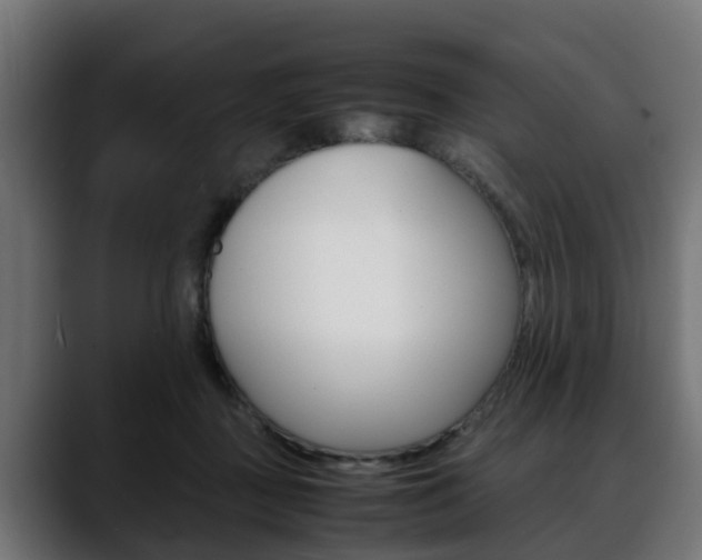 X0000088640363200705250923