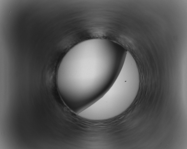 X0000088640364200705250923