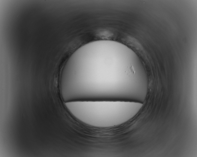 X0000088640365200705250923