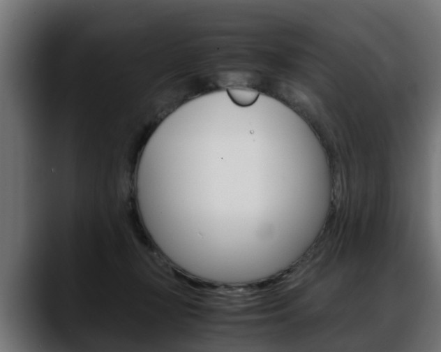 X0000088640367200705250924