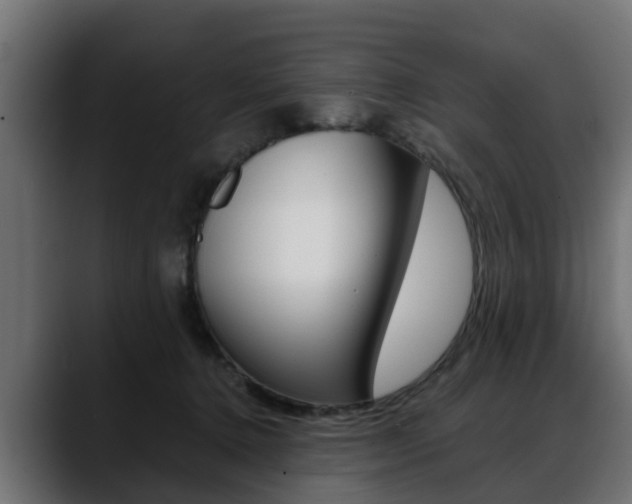 X0000088640368200705250924