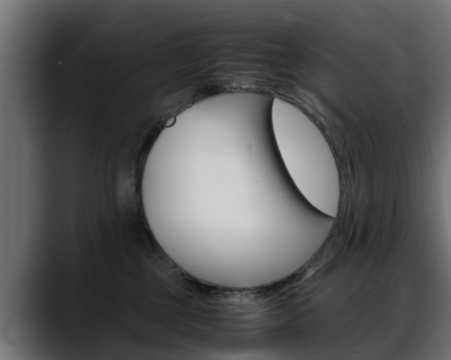 X0000088640377200705250924