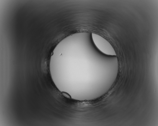 X0000088640378200705250924