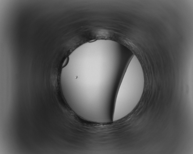 X0000088640379200705250924