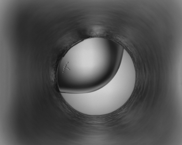 X0000088640380200705250924