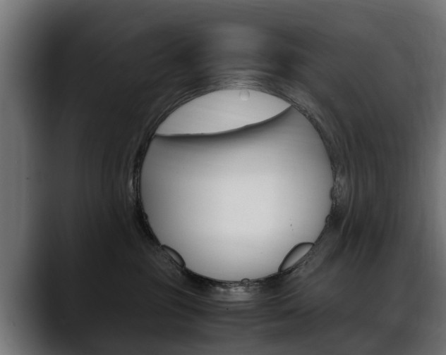X0000088640381200705250924