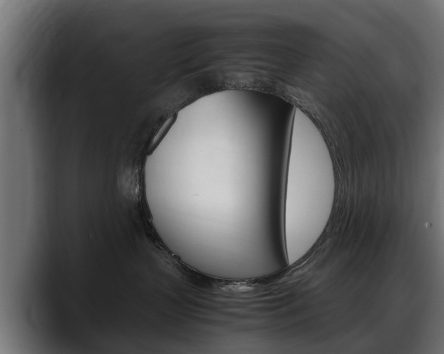 X0000088640383200705250924