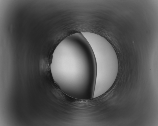 X0000088640384200705250924