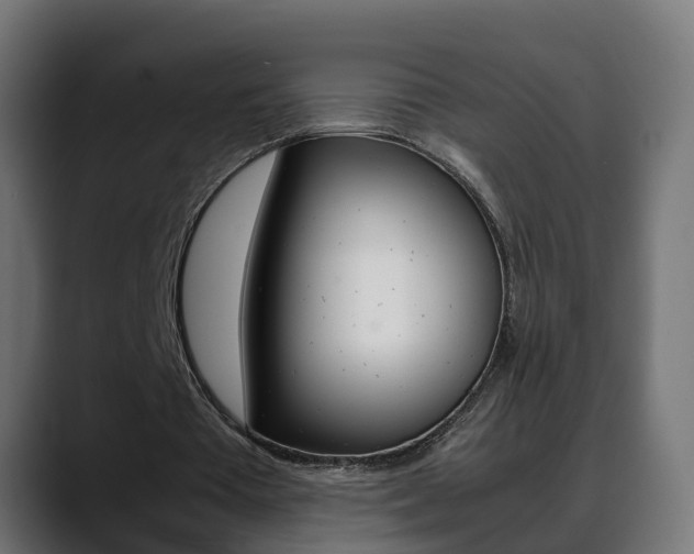 X0000088640385200705250923