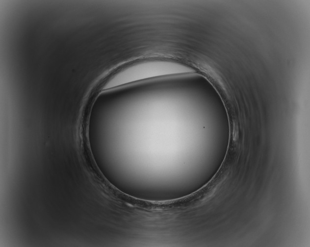 X0000088640388200705250923