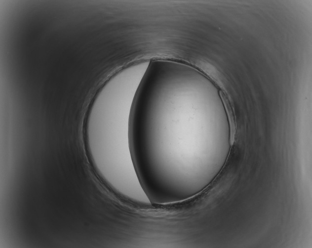 X0000088640389200705250923