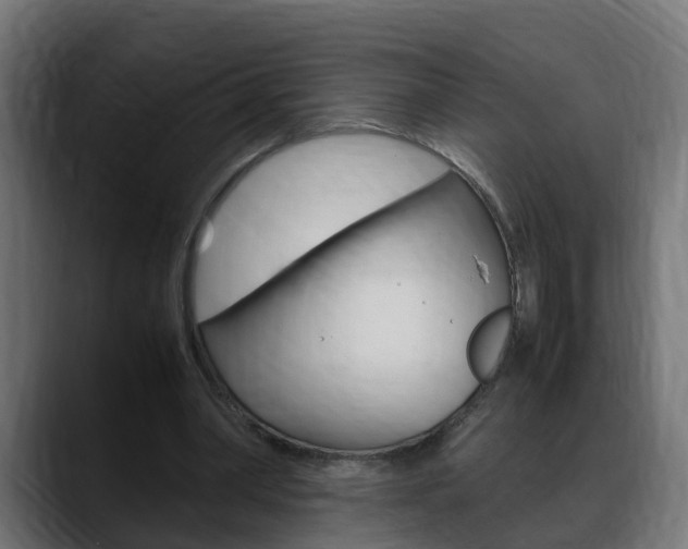 X0000088640390200705250923