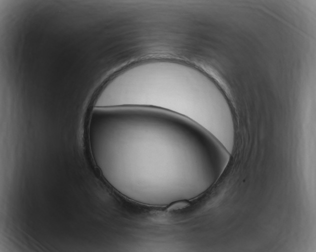 X0000088640391200705250923