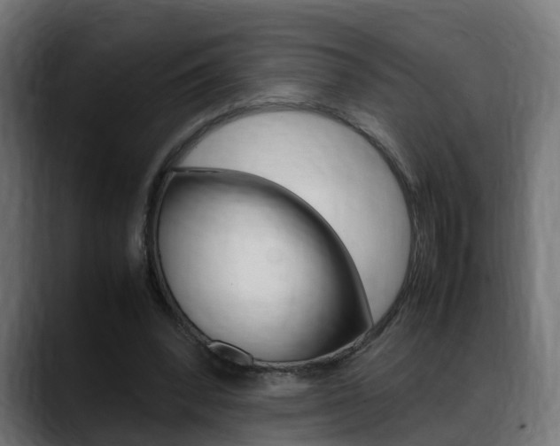 X0000088640392200705250923