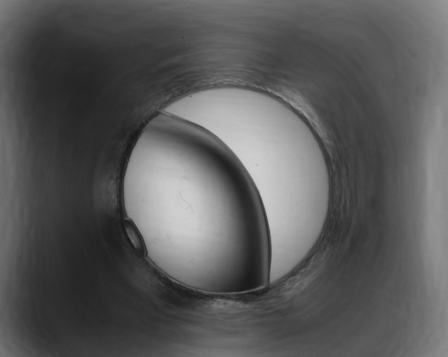 X0000088640393200705250923