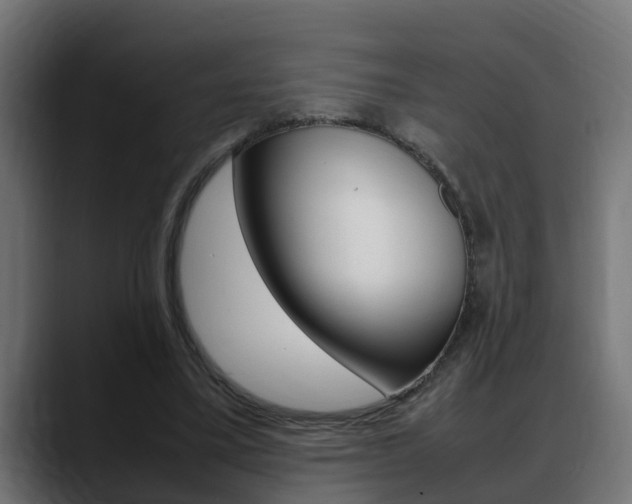 X0000088640395200705250923