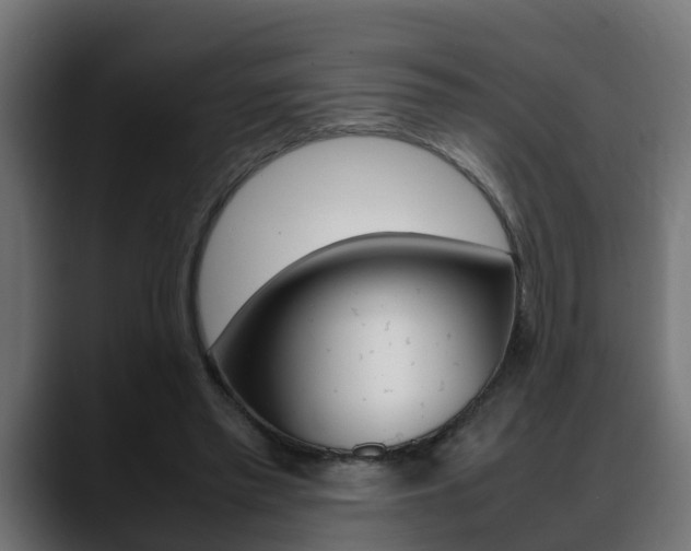 X0000088640397200705250923