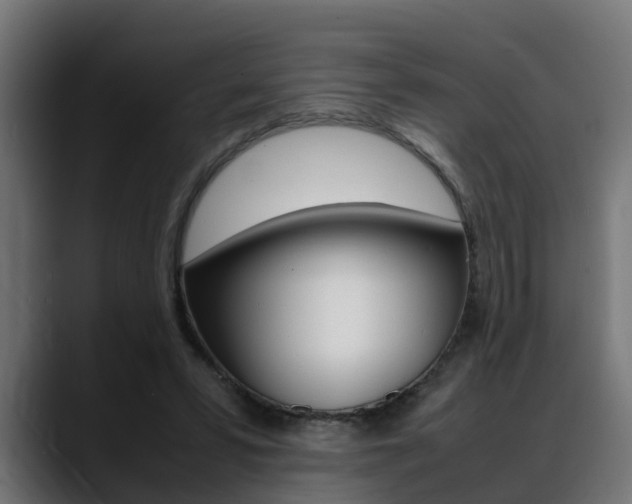 X0000088640399200705250923