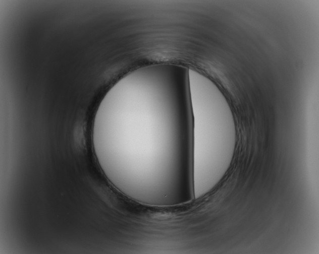 X0000088640400200705250923