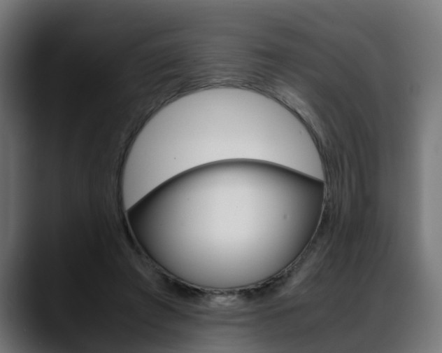 X0000088640401200705250923