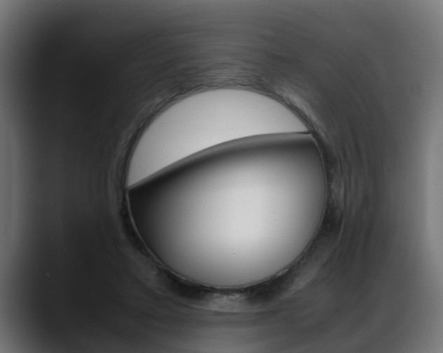 X0000088640403200705250923