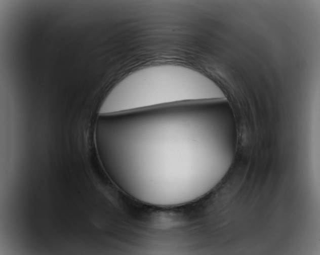 X0000088640408200705250923