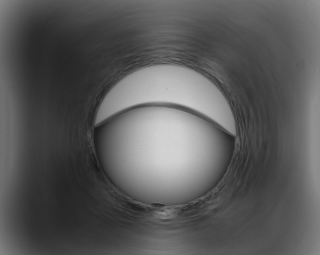 X0000088640411200705250923