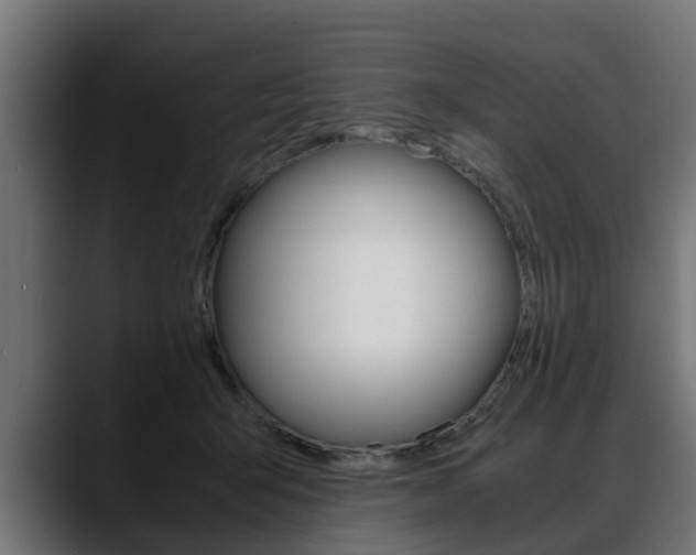 X0000088640415200705250923