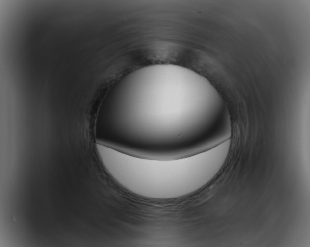 X0000088640416200705250923