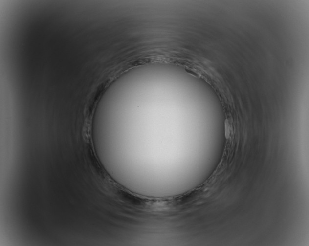 X0000088640419200705250923
