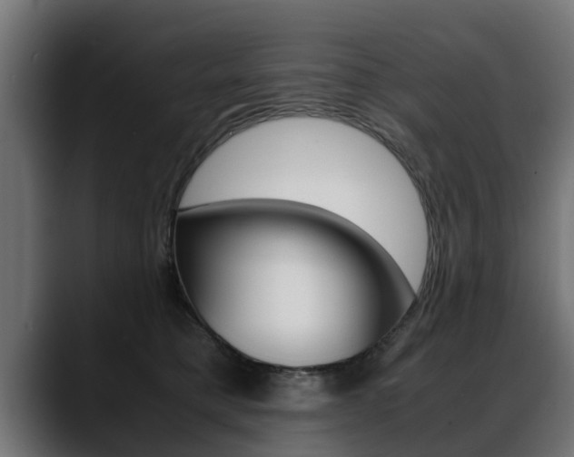 X0000088640421200705250923