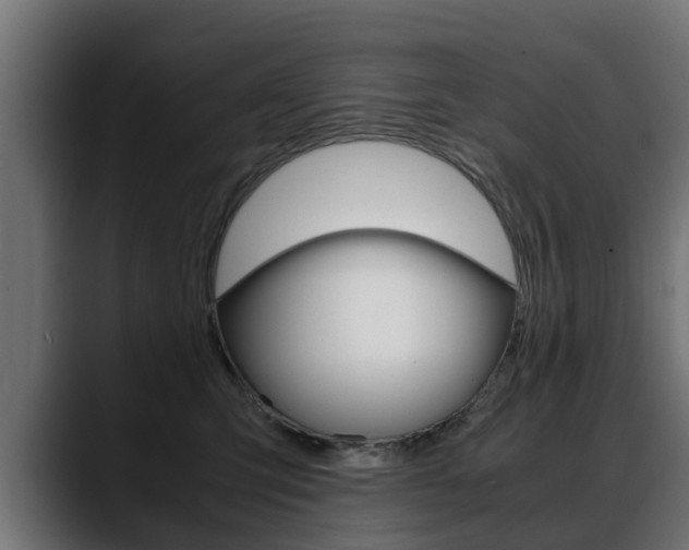 X0000088640423200705250923