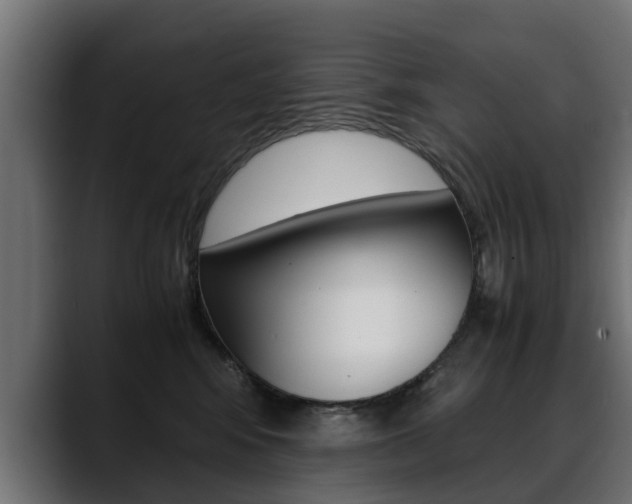 X0000088640424200705250923