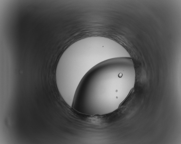 X0000088640425200705250923