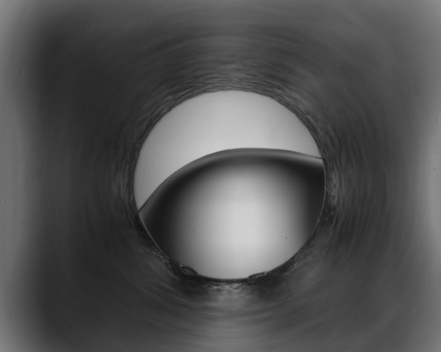 X0000088640428200705250923