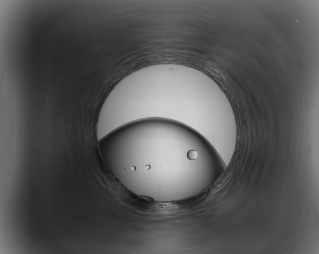 X0000088640429200705250923