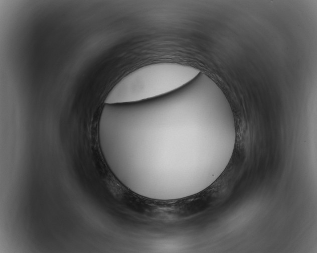 X0000088640430200705250923