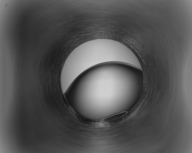 X0000088640432200705250922