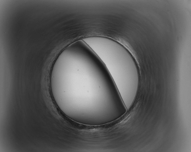 X0000088640433200705250922
